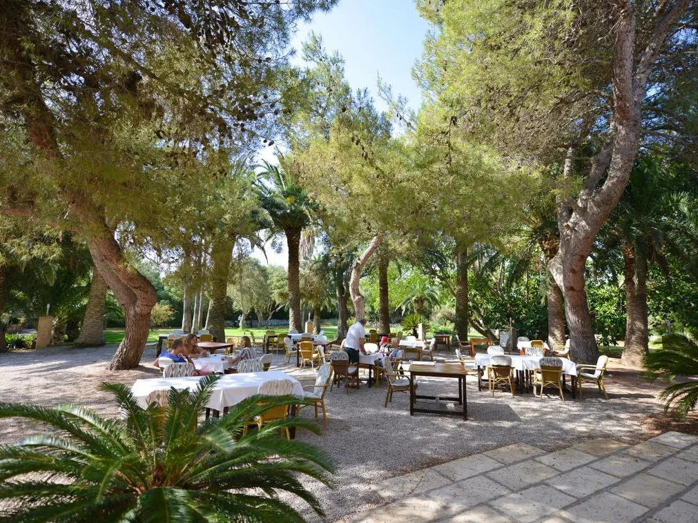 Rural Predio Son Serra | terras 